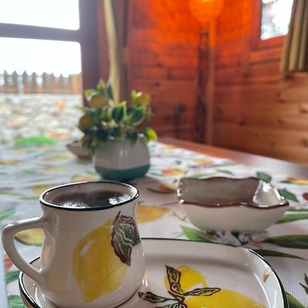 Andizalti Doga Evleri Limon Ev Datca Villa Eksteriør bilde